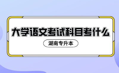 2024年湖南專升本大學(xué)語文考試科目考什么
