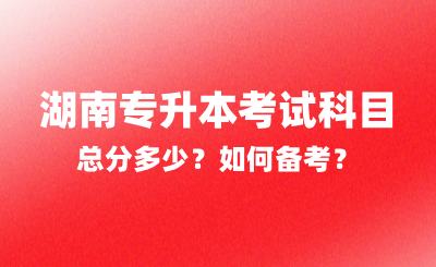 2025年湖南專升本考試科目總分多少？如何備考？